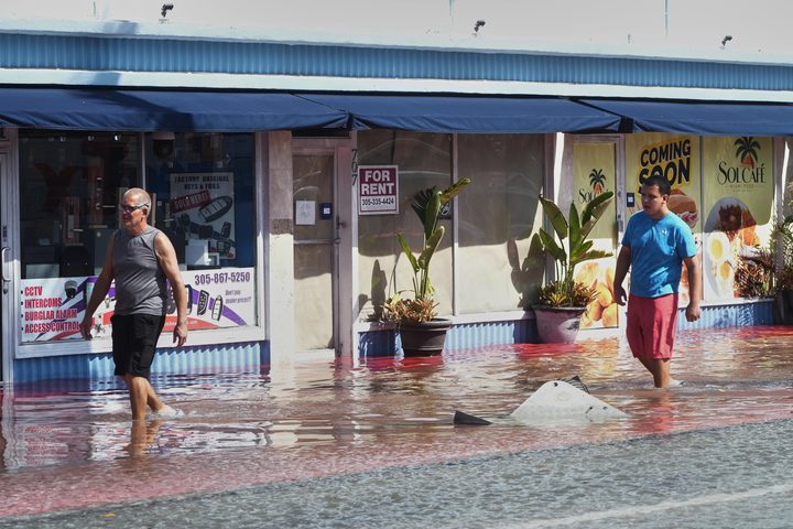 Un fort fenomen d'El Niño apunta a un hivern més càlid i humit
