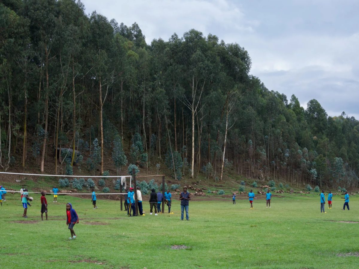 Antics combatents de les FDLR al centre de desmobilització i reintegració de Mutobo a Ruanda.