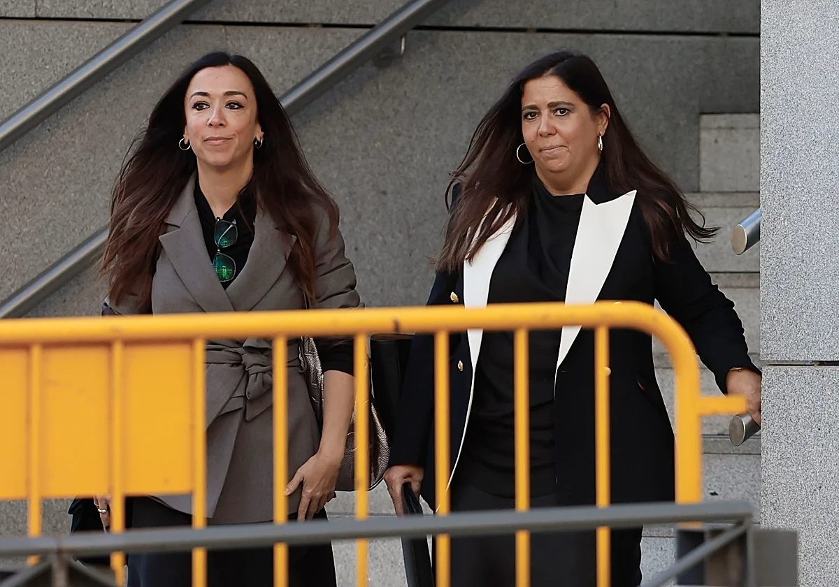 El fòrum vinculat a les 'clavegueres' del #PSOE va vigilar a una altra jutge amb cambres i drons