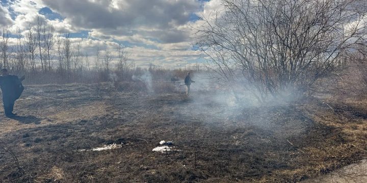 Investigadors exploren com combatre incendis a l'Àrtic per protegir el permagel