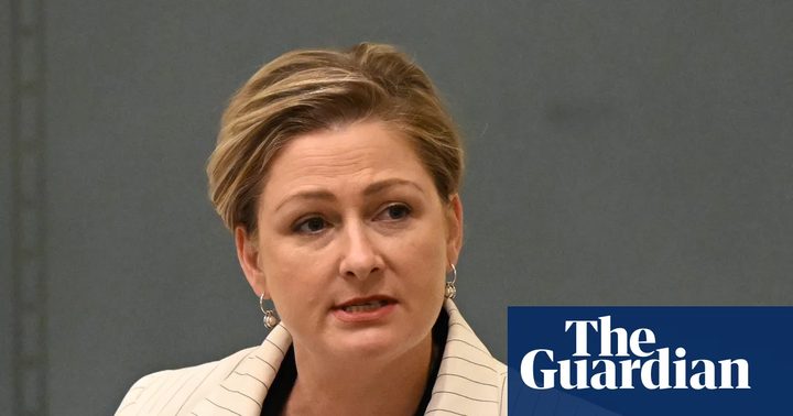 La política Amanda Camm compareix davant dels mitjans a Queensland.