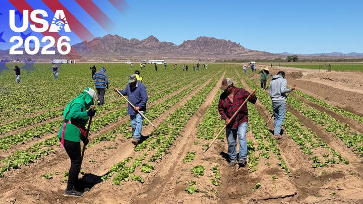 Incertesa a les granges d'Arizona per la por dels temporers mexicans a creuar la frontera