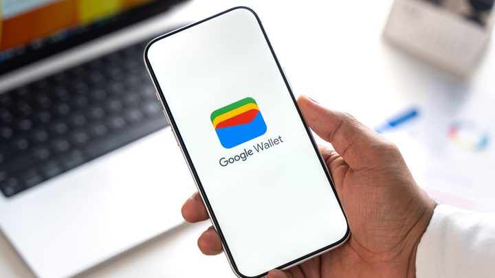 Quins tipus de carteres digitals existeixen i quines característiques tenen?