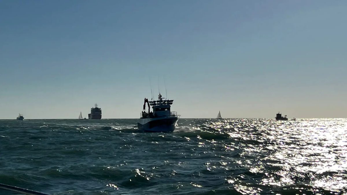 Compte enrere per a evitar una altra ‘destralada’ a l'activitat pesquera del Mediterrani per Nadal