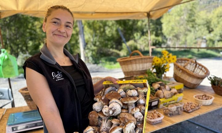 Les primeres parades de bolets del Pirineu obren amb preus elevats per l'escassetat